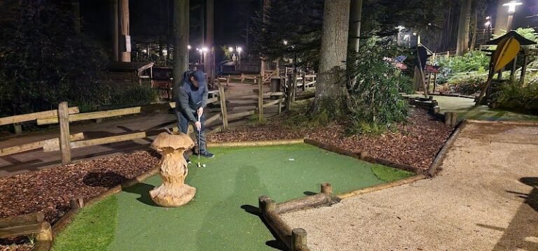 1036 f38766024c41 768x359