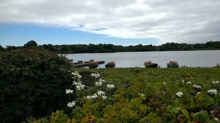 1109 b2bf9dd1ee61 768x432