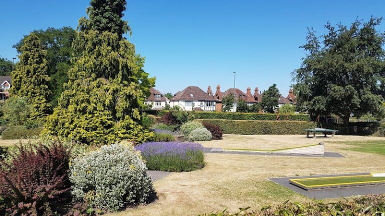 266 cf6c852c2d41 768x432