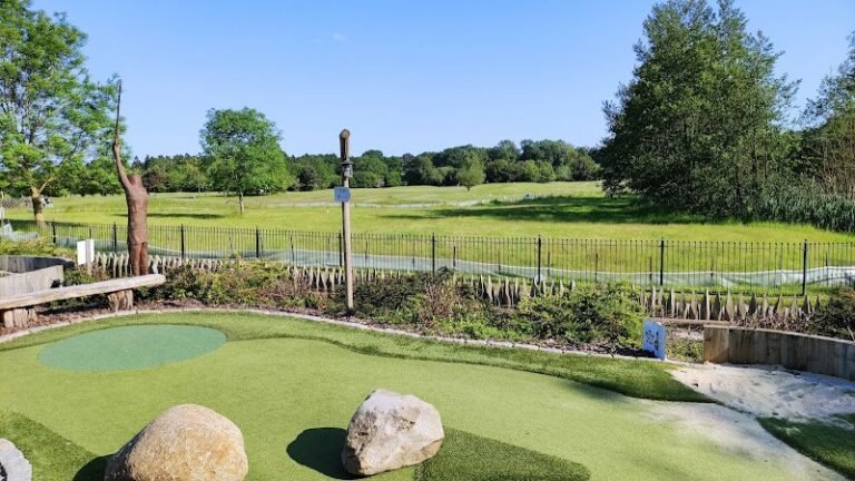 742 5a67720b5e8c 768x432